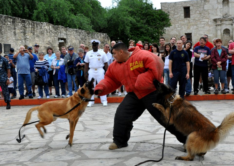 San Antonio Navy Week 2010 100422-N-UR169-720