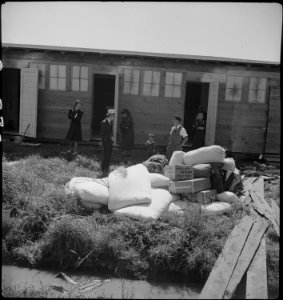 San Bruno, California. This assembly center has been open for just two days. Bus-load after bus-lo . . . - NARA - 537675