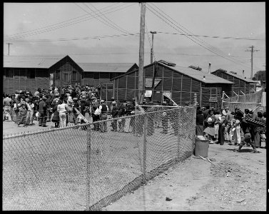 San Bruno, California. Supper time, Meal times are the big events of the day within an assembly ce . . . - NARA - 537922