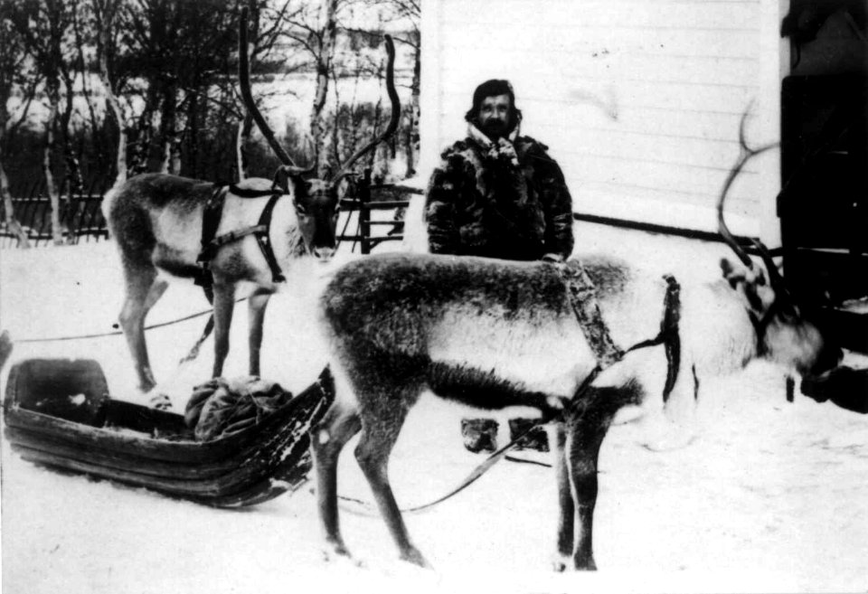 Same med reinsdyr og pulk ved legeboligen til distriktslege Wessel i Kirkenes, Sør-Varanger - Norsk folkemuseum - NF.09765-017