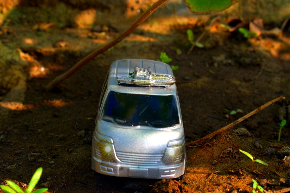 In woods car vehicle