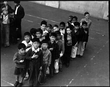 San Francisco, California. Flag of allegiance pledge at Raphael Weill Public School, Geary and Buch . . . - NARA - 537478