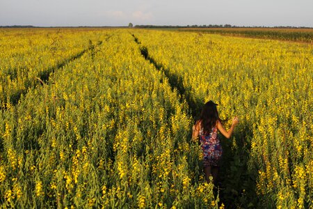 Brazil farm mato grosso