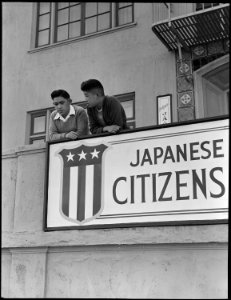 San Francisco, California. High school boys, on balcony of Japanese American Citizens League at 2031 . . . - NARA - 537470
