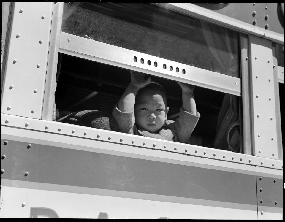 San Francisco, California. A young evacuee looks out the window of bus before it starts for Tanfora . . . - NARA - 537527