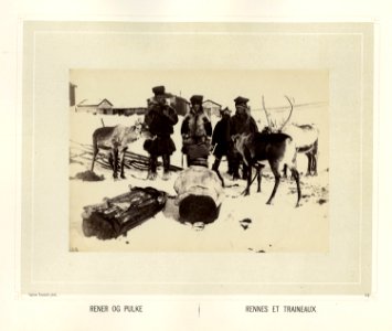 Samer i pesk står ved reinsdyr og pulker foran bebyggelse - Norsk folkemuseum - NF.15006-055