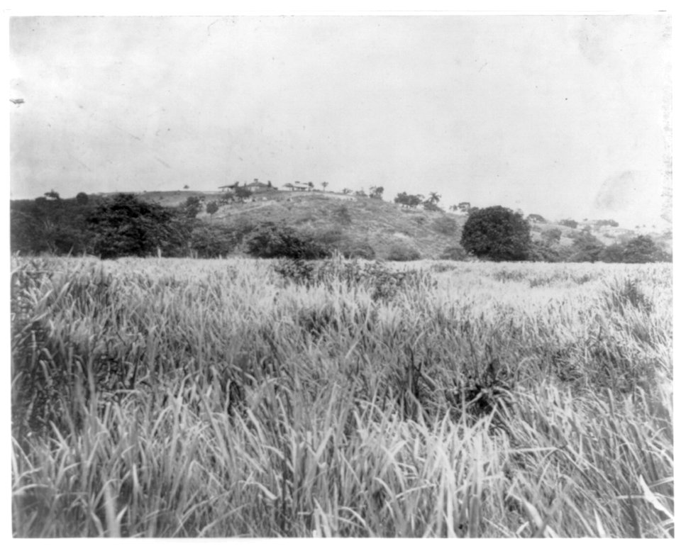 San Juan Hill, the long grass through which General Hawkins' men made their famous charge LCCN2005693177