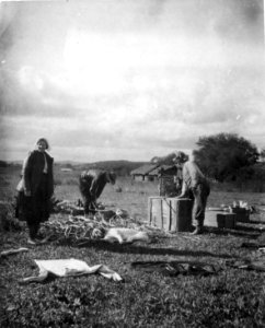 Samling av lerkärl från Chané packas ned. Olga Nordenskiöld t.v. på bilden - SMVK - 005873