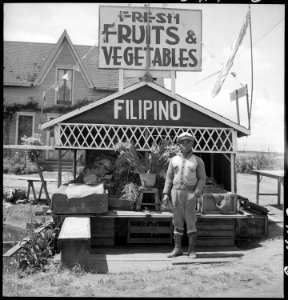 San Lorenzo, California. Fruit and vegetable stand on highway operated by Filipino. This year he . . . - NARA - 537768