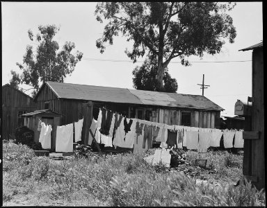 San Lorenzo, California. Washday 48 hours before evacuation of persons of Japanese ancestry from th . . . - NARA - 537544 photo