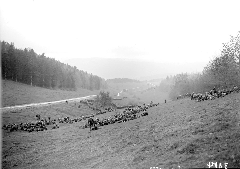 Sammelpunkt von anmarschierender Infanterie - CH-BAR - 3239197