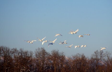 Flight height river
