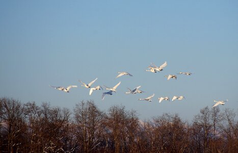 Flight height river photo