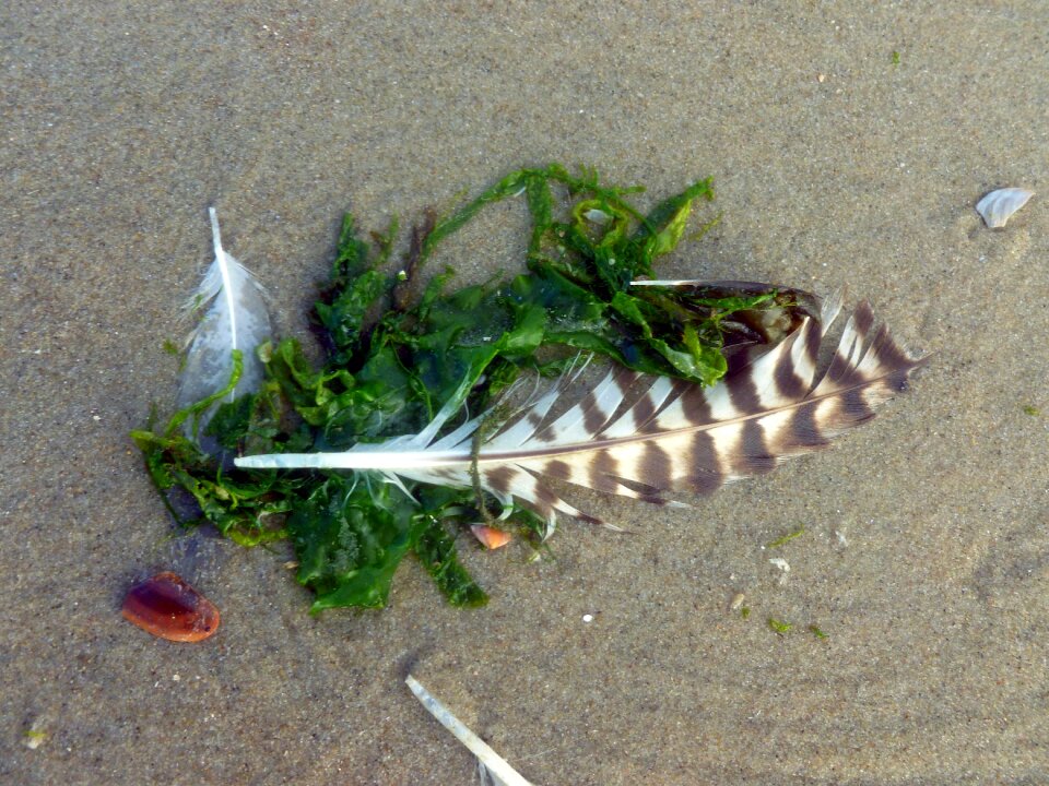 Sand sand beach lost