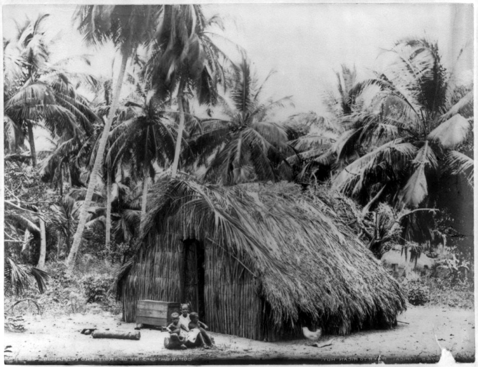 San Juan, Puerto Rico, and vicinity, 1901-1903- Typical Puerto Rican (grass) hut LCCN2006675633