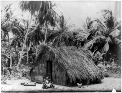 San Juan, Puerto Rico, and vicinity, 1901-1903- Typical Puerto Rican (grass) hut LCCN2006675633 photo