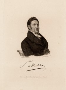 Samuel Muller (1785-1875) - Dirk Jurriaan Sluyter, Afb 010097008900