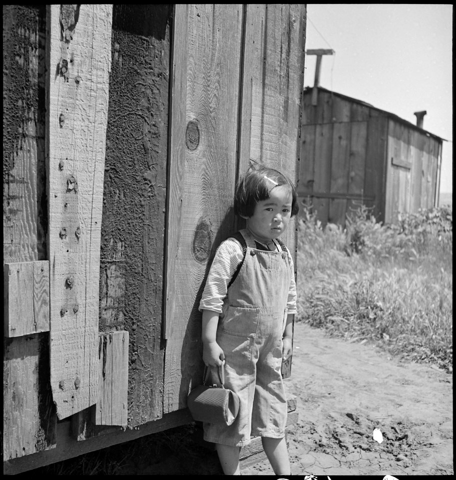 San Lorenzo, California. A farm youngster pictured two days before evacuation of persons of Japanes . . . - NARA - 537538 photo