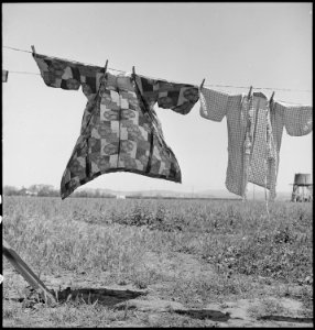 San Lorenzo, California. Washday 48 hours before evacuation of persons of Japanese ancestry from th . . . - NARA - 537542 photo
