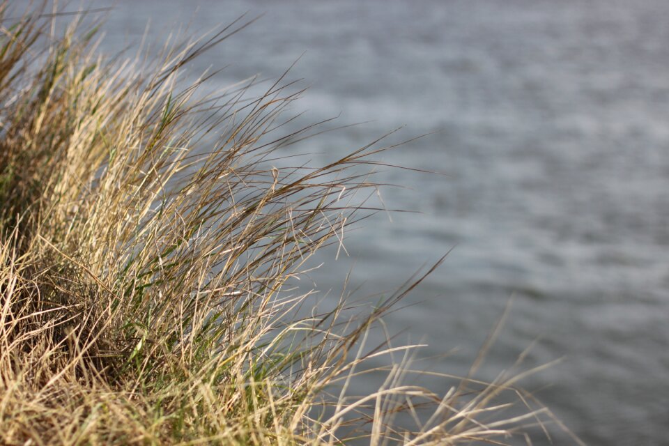 Blue lake sea