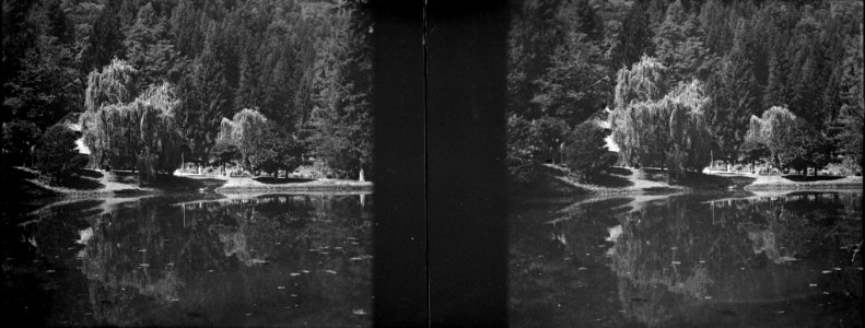 Saules, Luchon, août 1906, TRU C 170 - Fonds Trutat