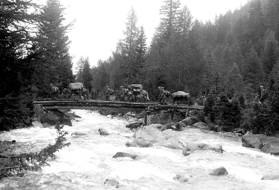 Saumkolonne der Gebirgs-Brigade 3 auf dem Marsch - CH-BAR - 3236999
