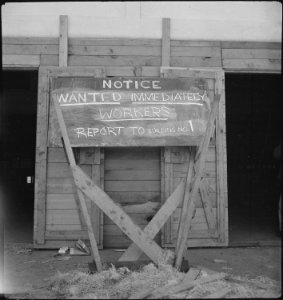 San Bruno, California. Help Wanted sign displayed for newly arrived evacuees. There was much wo . . . - NARA - 537668