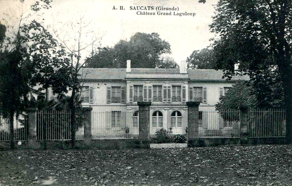 Saucats - château Grand Laguloup 1
