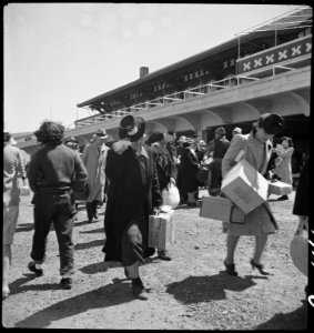 San Bruno, California. Families of Japanese ancestry arrive at assembly center at Tanforan Race Tra . . . - NARA - 537493