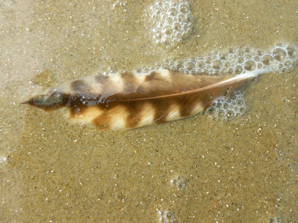 Water moist sand beach