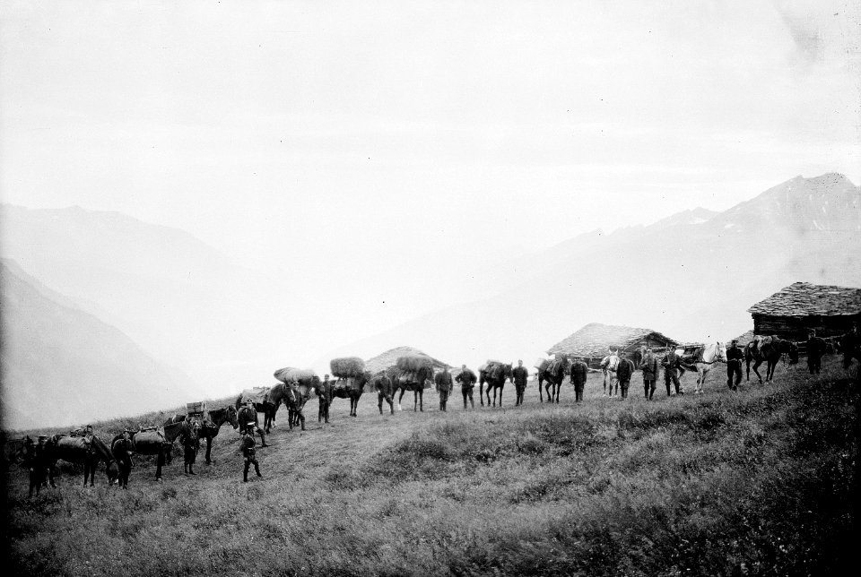 Saumkolonne vor dem Abmarsch aus dem Biwak - CH-BAR - 3236938