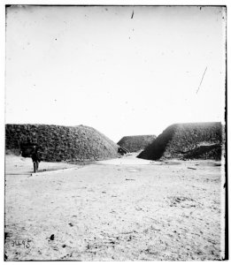 Savannah, Georgia (vicinity). View of Fort McAllister LOC cwpb.03143