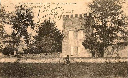 Sauternes - château d'Arche 2