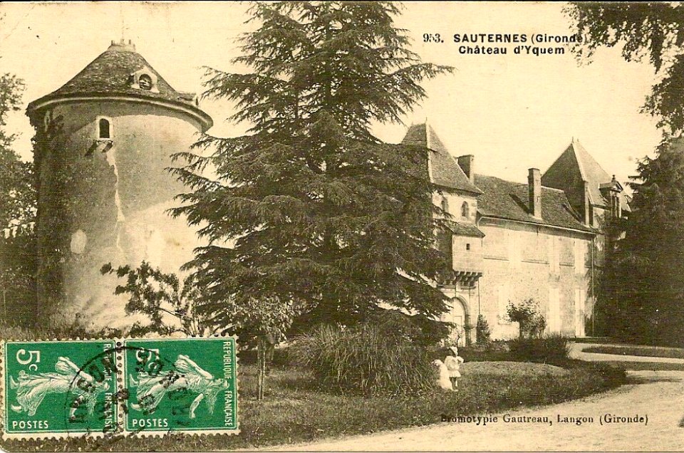 Sauternes - château d'Yquem 3