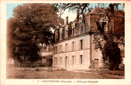 Sauternes - château Guiraud 1