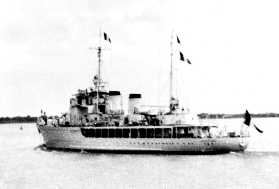Savorgnan de Brazza NH 64268