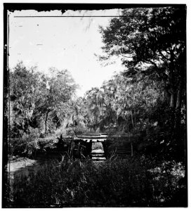 Savannah, Georgia). Bridge over stream LOC cwpb.03269