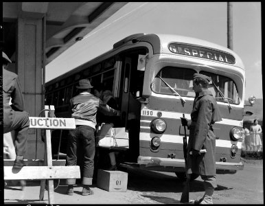 San Bruno, California. A Greyhound bus bringing evacuees to the assembly center. - NARA - 537491
