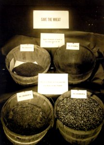 Save the Wheat, food conservation, U.S. Food Administration, WWI (28192953495)
