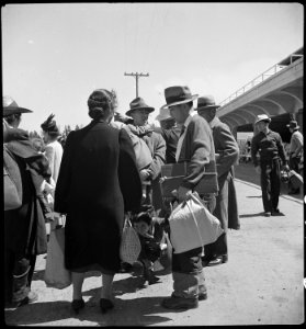 San Bruno, California. These families of Japanese ancestry have just arrived at the Assembly center . . . - NARA - 537481 photo