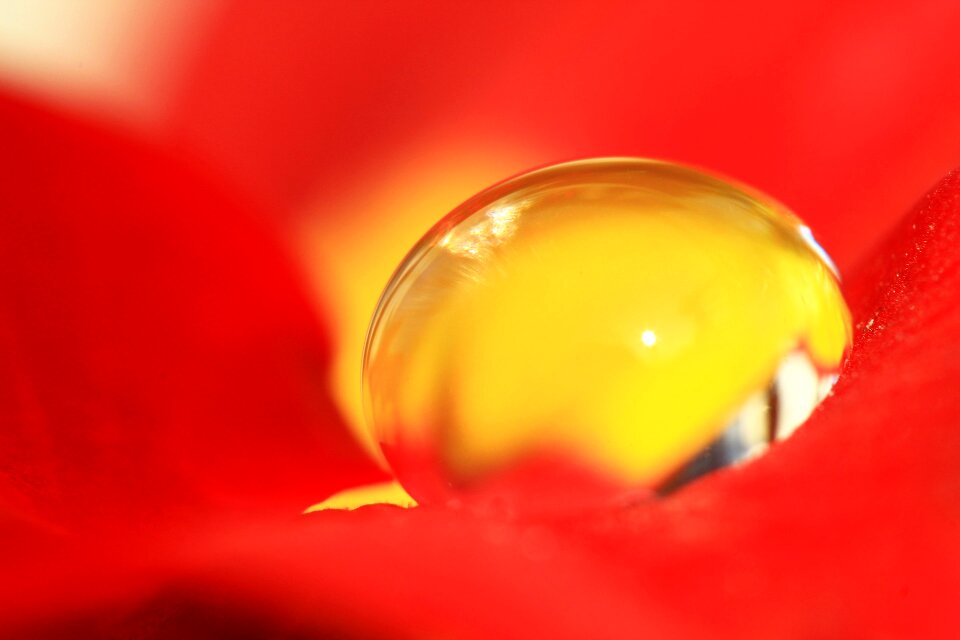 Drop of water drops of water nature