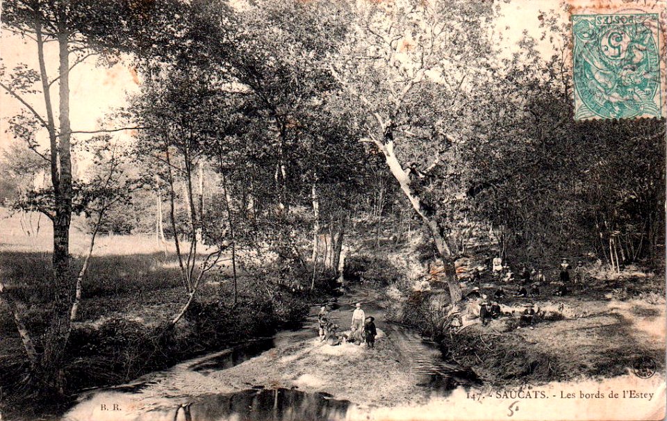 Saucats - bords de l'Estey
