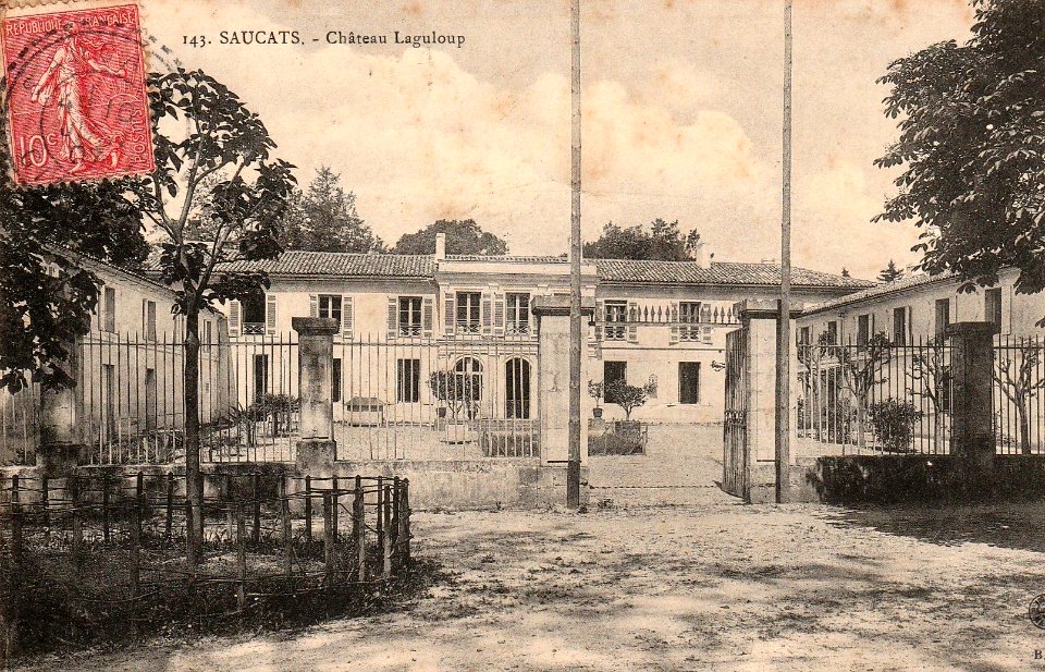 Saucats - château Grand Laguloup 2