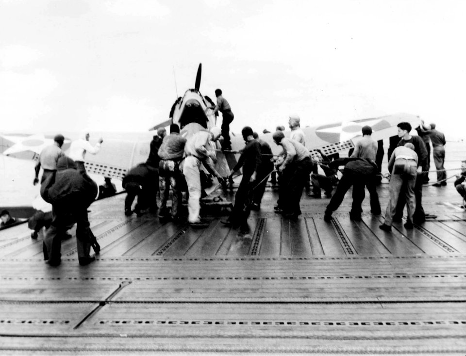 SBD severed tail USS Enterprise Feb 1942