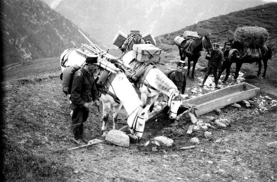 Saumkolonne beim Tränken der Tiere - CH-BAR - 3236939