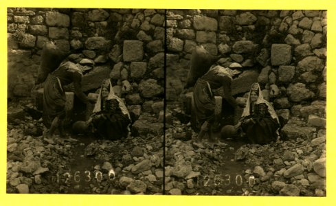 Scene at the fountain of Siloah or Virgin Mary's - Palestine LCCN2004672900
