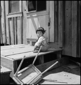 San Lorenzo, California. A farm youngster pictured two days before evacuation of persons of Japanes . . . - NARA - 537541 photo