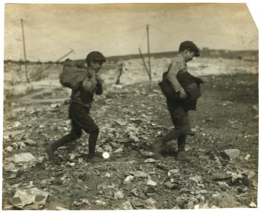 Scavengers. Pine Street Dump. LOC nclc.05075