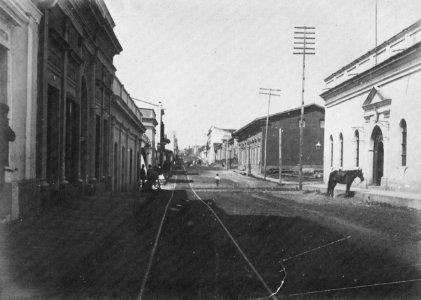 San Martin, M. - Avenida Palmas in Tribunal (Zeno Fotografie)