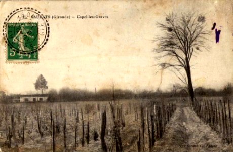 Saucats - Capel-les-Graves